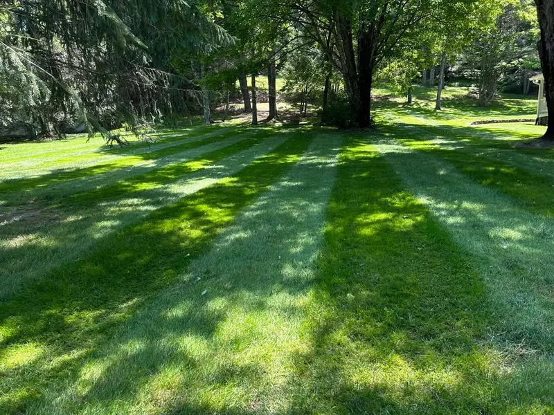 Freshly mowed lawn with clean stripes under shade trees