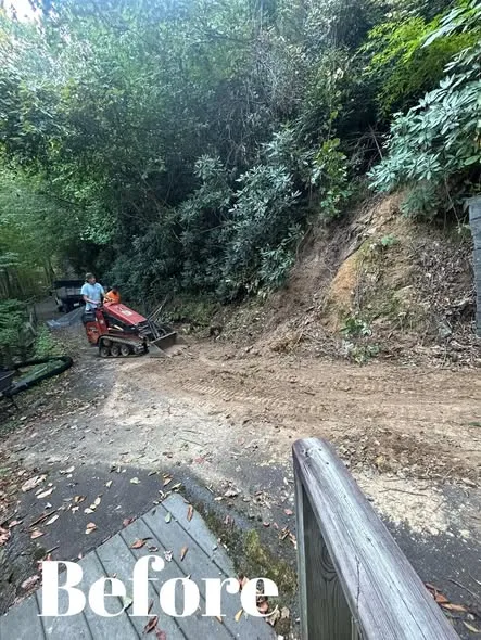Mini loader clearing and grading the bank